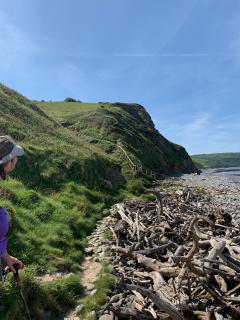 All the way down to the beach, and that's another steep climb ahead